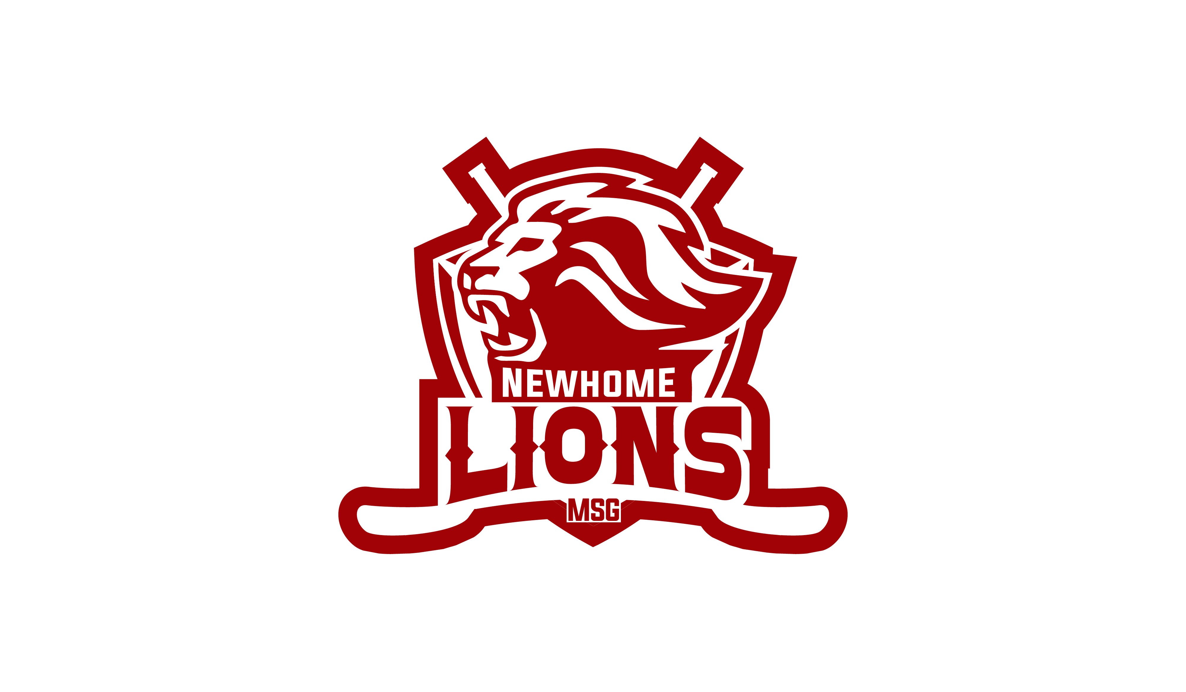 Die NewHome Lions starten wieder durch ...